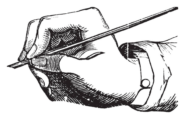 Virheellinen Penmanship jossa suuri sormi olisi suoristettava, kädet, Holding Objects, Kynät, vintage linja piirustus tai kaiverrus kuva
. - Vektori, kuva