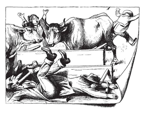 Bulls zakłócania kolację, ta scena pokazuje byki zakłócania grupa ludzi, którzy o kolacji, dwóch mężczyzn spadł w dół na ziemię, vintage rysowania linii lub Grawerowanie ilustracja - Wektor, obraz