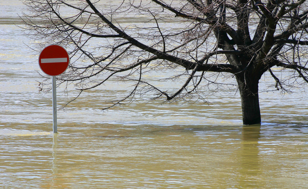 Inundación
 - Foto, imagen