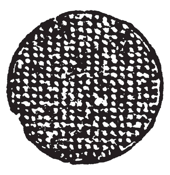 Roundlet pelletin ovat riittäviä kuvaamaan niiden väri ilmaisematta samaa, vintage line piirustus tai kaiverrus kuva
. - Vektori, kuva