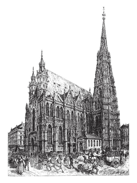 St Stephen Cathedral in Vienna which is construction lasted 65 years from 1368 to 1433, vintage line drawing or engraving illustration. - Vector, Image
