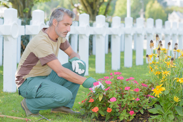 Man tending flowers in graveyard - Foto, imagen