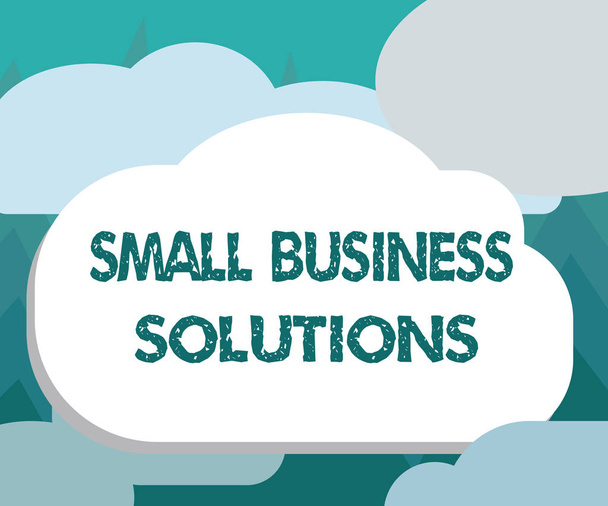 Konceptuální ručně psaného textu zobrazeno Small Business Solutions. Obchodní fotografie představí společnosti k řešení problémů konkrétních obchodních - Fotografie, Obrázek