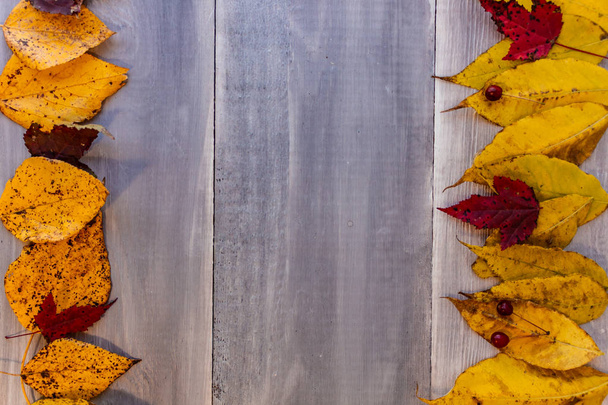 Autumn background with colored leaves on wooden board - Photo, Image