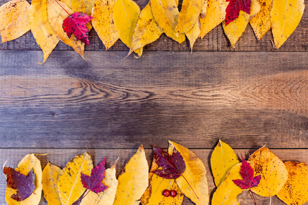 autunno sfondo con foglie colorate su tavola di legno - Foto, immagini