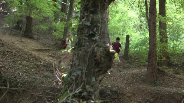 Couple walking in woods and crossing river - Video, Çekim