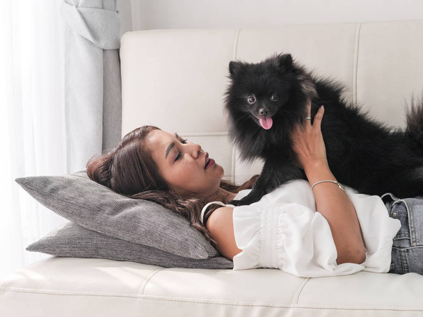 Happy Asian woman playing with her black dog on sofa at home, lifestyle concept. - 写真・画像