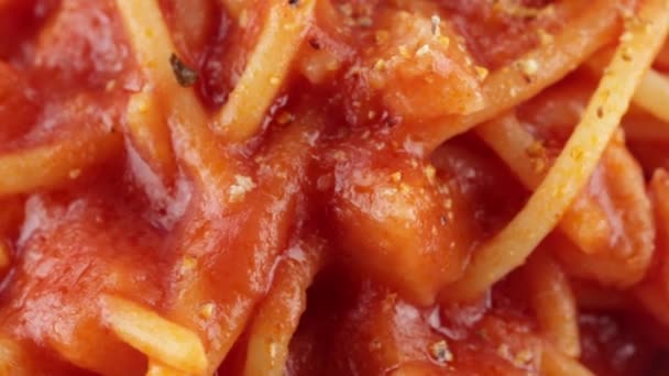 Spaghetti all'amatriciana bio - Footage, Video