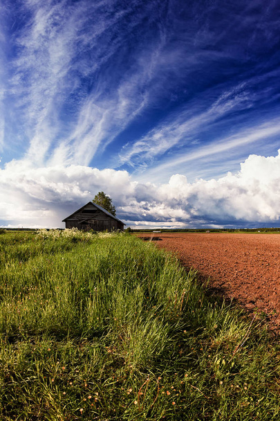 Uma pequena casa de celeiro à beira do campo na Finlândia rural. As nuvens de verão estão formando formações dramáticas no céu ao fundo
. - Foto, Imagem