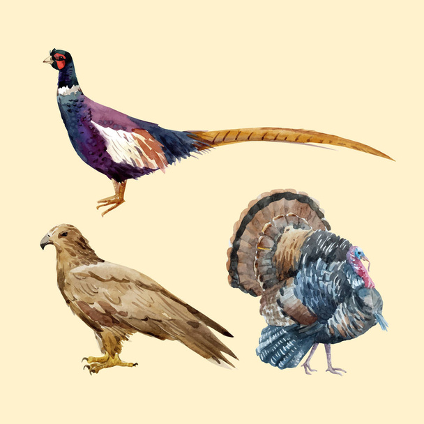 Watercolor pheasant eagle turkey - Vecteur, image