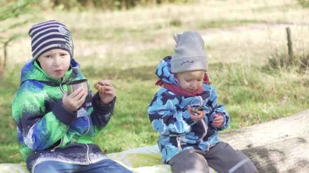 Hermano y hermana en un picnic en el bosque de otoño
 - Imágenes, Vídeo