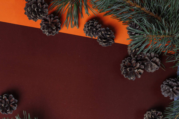 Noel kartı çam dalları ve koniler ile metin için yer - Fotoğraf, Görsel