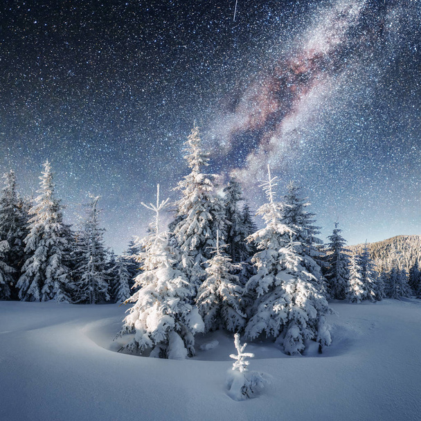 Dairy Star Trek in the winter woods. Dramatic and picturesque scene. In anticipation of the holiday. Carpathian, Ukraine, Europe. - Foto, imagen