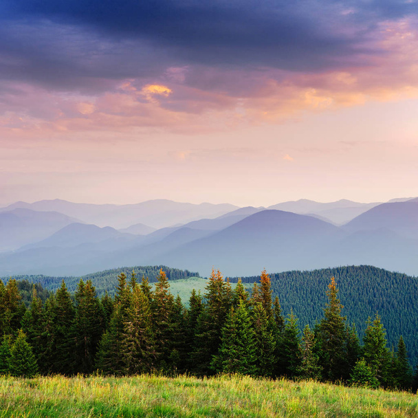 Beautiful summer mountain landscape. Blue color of mountains during sunset. Dramatic scene. Carpathian, Ukraine, Europe. Artistic picture. Soft filter effect. - Foto, immagini