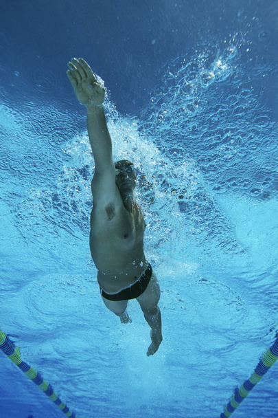 Male Professional Swimmer In Pool - 写真・画像