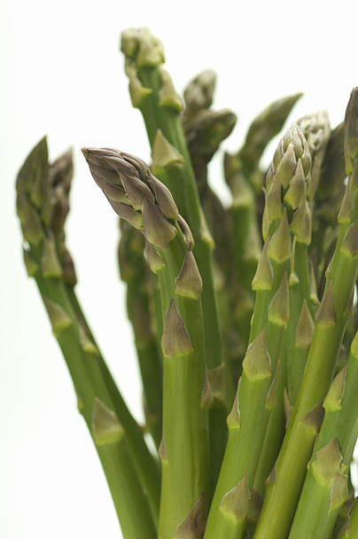 Isolated Asparagus Plant - Foto, Bild
