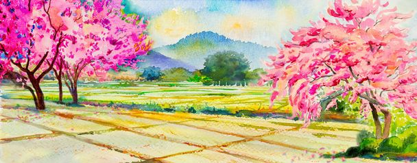 Malba akvarel krajiny růžová barva třešeň divoká himálajské květiny, kukuřičné pole, hory v jarní sezóně. Ručně malované, modrá obloha, cloud pozadí, krásy přírody, zimní sezona. - Fotografie, Obrázek