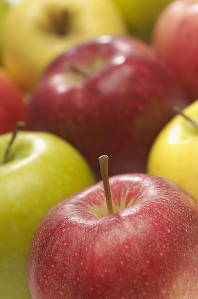 ripe colorful apples - Photo, Image