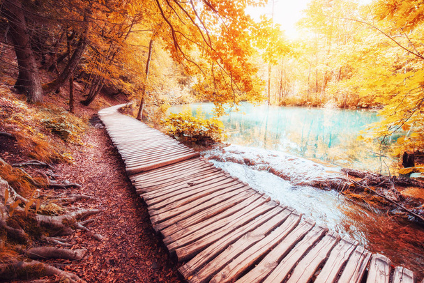 Знаменитый национальный парк Плитвицкие озера, Хорватия, Европа. Яркая осенняя сцена. Тонизирующий эффект Instagram
 - Фото, изображение