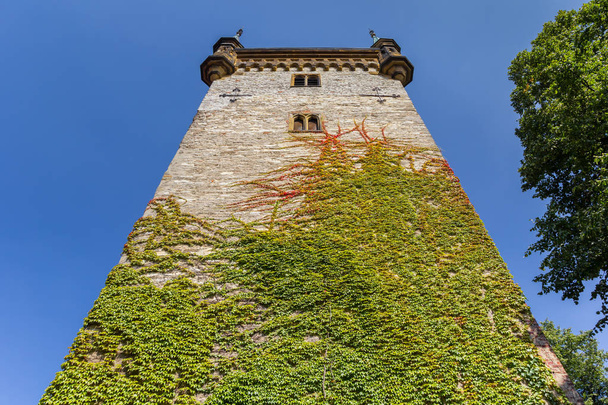 Ivy climbing the tower of the Marien church in Warendorf, Germany - Photo, Image