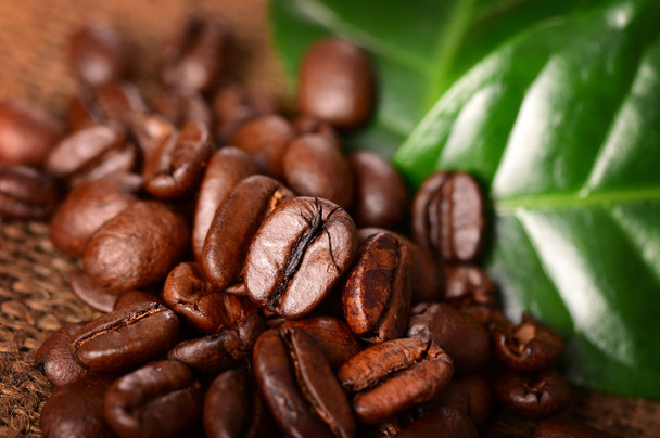 緑の葉とコーヒー豆のクローズ アップ表示 - 写真・画像