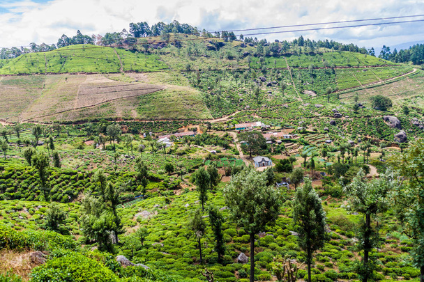 Small settlement near Idalgashinna village, Sri Lanka - Foto, Bild