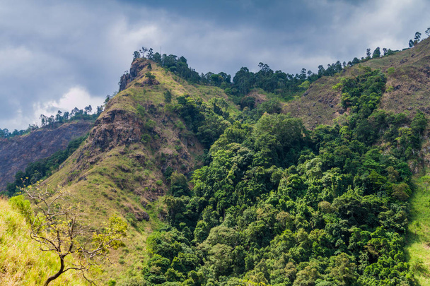Mountains near Ella, Sri Lanka - Foto, Bild