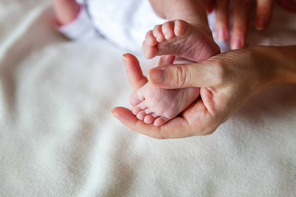 Baby voeten in moeder handen. Kleine pasgeboren baby 's voeten op vrouwelijke gevormde handen close-up. Mam en haar kind. Happy Family concept. Mooi conceptueel beeld van moederschap - Foto, afbeelding