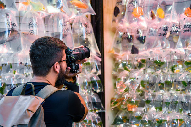 Viaggiatore che scatta una foto al mercato del pesce rosso di Hong Kong
 - Foto, immagini