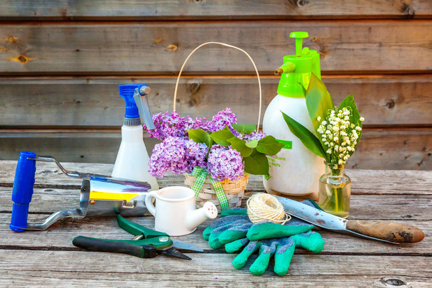 Kertészeti eszközök, locsolókanna, lapát, ásó, pruner, gereblye, kesztyű, lila, gyöngyvirág virág szüreti fából készült asztal. Tavasszal vagy nyáron a kertben, eco, természet, kertészeti hobbi koncepció - Fotó, kép