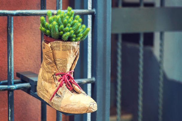 Flower pot with cactus in a boot hanging on a fence - Фото, зображення