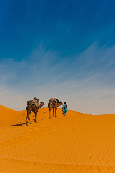 Velbloudí karavana v Erg Chebbi pouště Sahary u Merzouga, Maroko - Fotografie, Obrázek