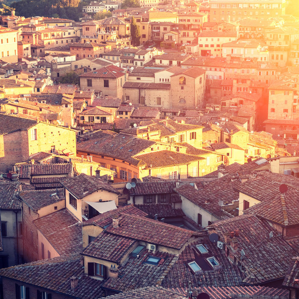 View of the roofs of houses, Siena, Tuscany, Italy - Zdjęcie, obraz