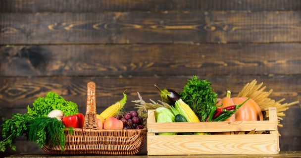 Fresh organic vegetables in wicker basket and wooden box. Fall harvest concept. Vegetables from garden or farm on wooden background. Autumn harvest organic crops vegetables. Homegrown vegetables - Photo, image