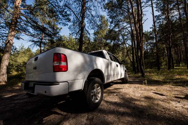 white pickup truck in autumn forest, surface level  - Photo, Image