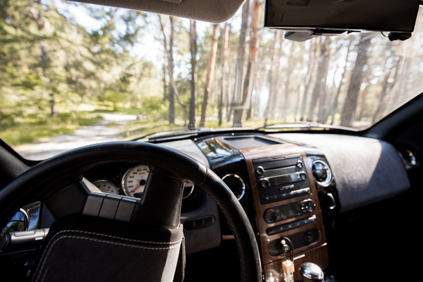 view of sunny forest from car interior with steering wheel - Foto, Imagem
