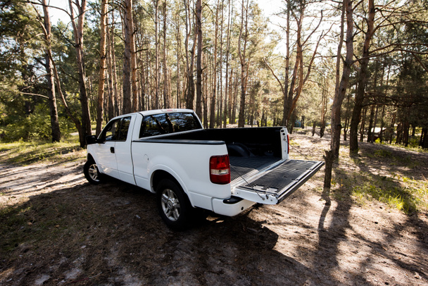white pickup car with opened truck in forest - Foto, immagini