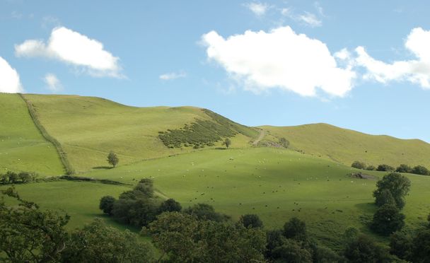 glooiende heuvel - Foto, afbeelding