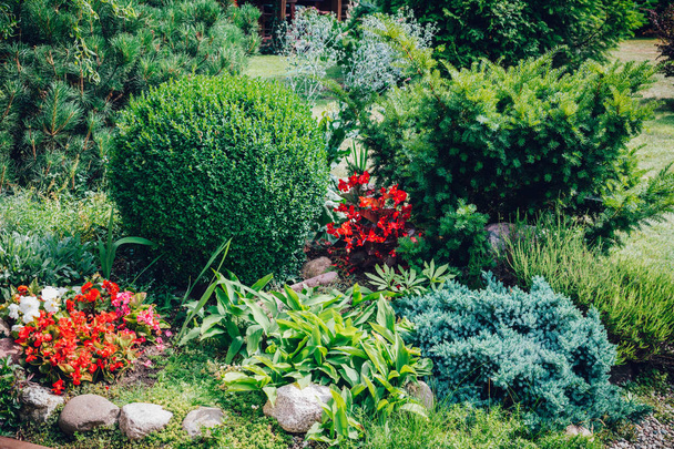 schilderachtig uitzicht op de kleurrijke flowerbed in huis Tuin - Foto, afbeelding
