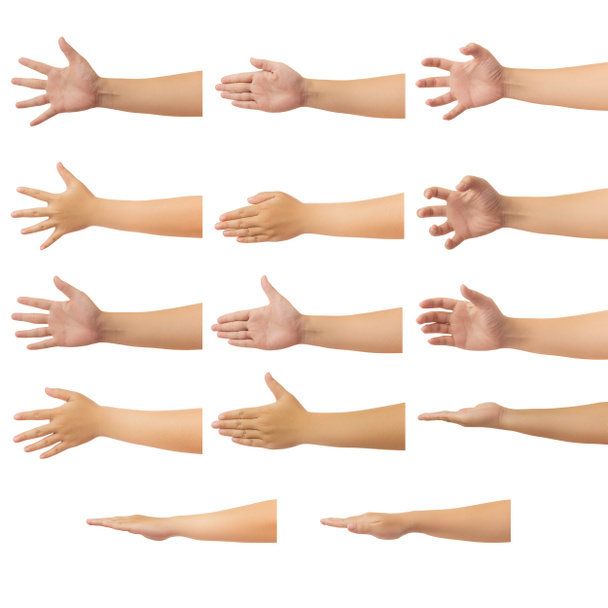 İnsan elinde kümesi kişinin elini ulaşmak ve 5 parmak gösterilen jest izole kırpma yolunu, rötuş veya grafik tasarım için düşük kontrast beyaz zemin üzerine - Fotoğraf, Görsel