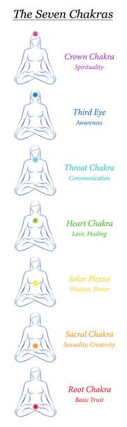 Chakra symbolen. 7 regenboog gekleurde chakra's van een vrouwelijk lichaam met beschrijving. Mediteren vrouw in yoga positie tot een spiritualiteit, verlichting, gezondheid, fitness en energie. Bladwijzer-indeling. - Vector, afbeelding
