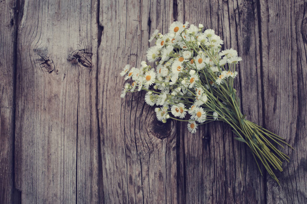 bright field flowers on wooden rustic surface - Photo, Image