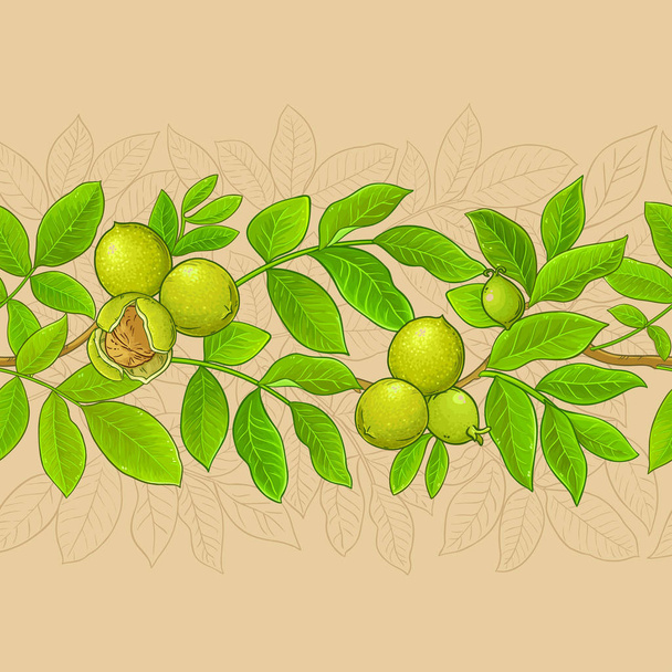 walnut vector pattern on color background - Wektor, obraz