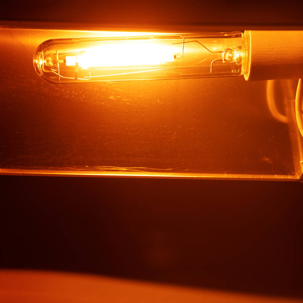Hogedruk natrium lamp Hps oranje licht - Foto, afbeelding
