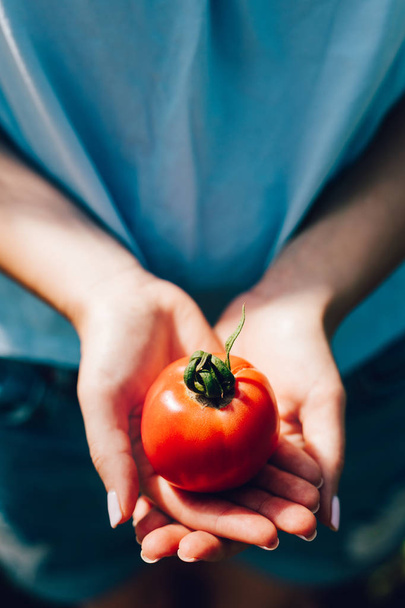 visão de alto ângulo da mulher segurando tomate nas mãos
 - Foto, Imagem