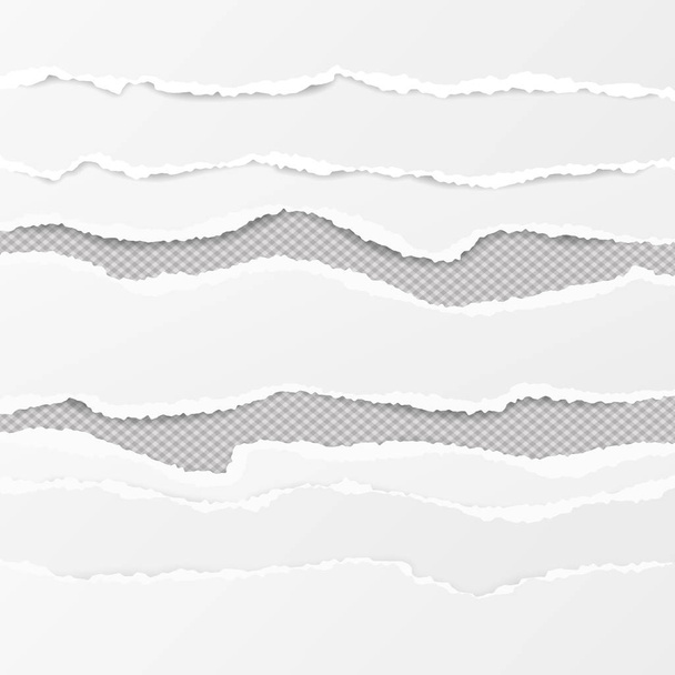 Conjunto de tiras de papel rasgado horizontales blancas, papel de nota rasgado para texto o mensaje sobre fondo cuadrado gris
 - Vector, imagen