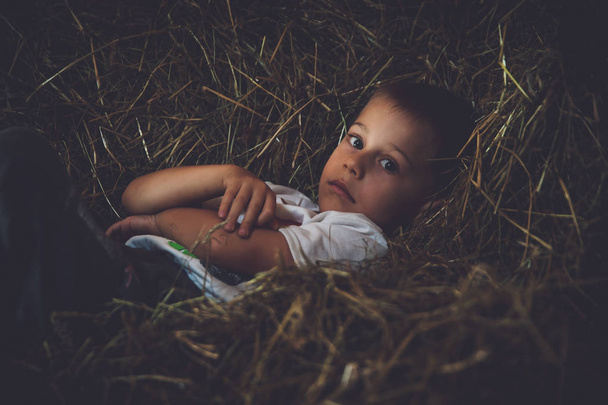 child lying in the hay, look in camera, serious expression - Photo, Image