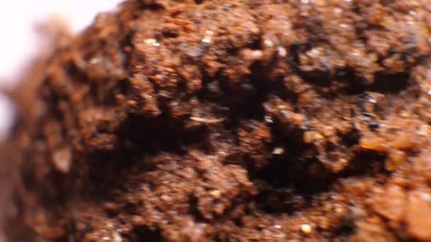 土壌とラボで鉱物試料の分析 - 映像、動画