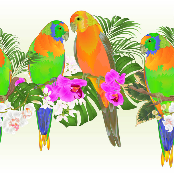 Tropische grens naadloze achtergrond zon papegaaiachtigen papegaaien tropische vogels staande op een tak wit en paarse orchidee Phalaenopsis vintage vector illustratie voor gebruik in het interieur, artwork, gerechten, verpakking kleding, wenskaarten, - Vector, afbeelding