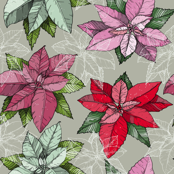 Seamless pattern with beautiful and colorful Christmas poinsettia flowers - Vector, Imagen